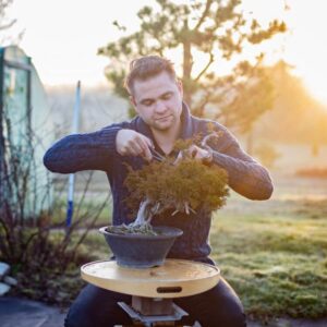 bonsai kultivieren pflegen schneiden