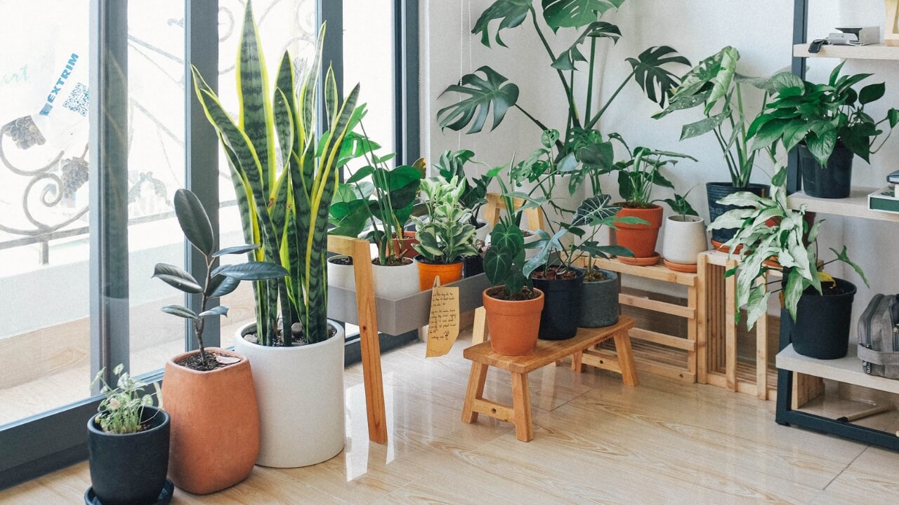 Entspannung Zuhause