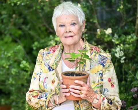 Judi Dench