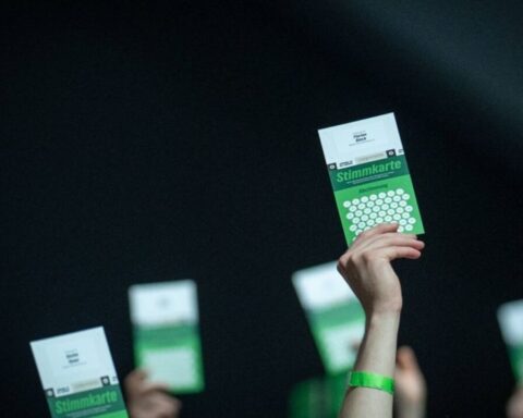 Minze in Homöopathie