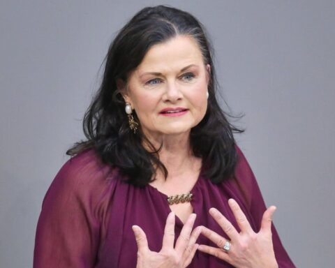 familienunternehmer afd debatte