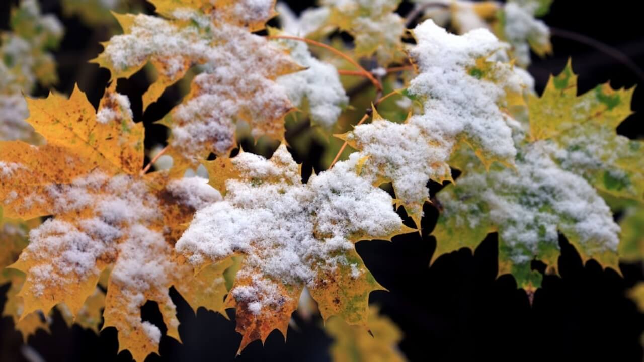 pflegeheim kosten deutschland