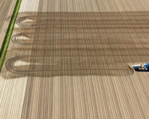 agrarflaechenverkauf-australischer