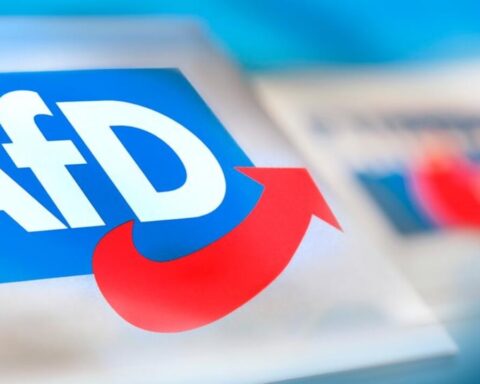 afd jugend radikalisierung