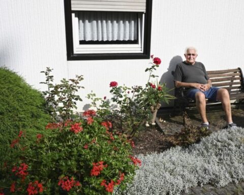 rente reform deutschland