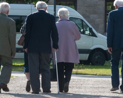 rentenreform kritik ökonomen