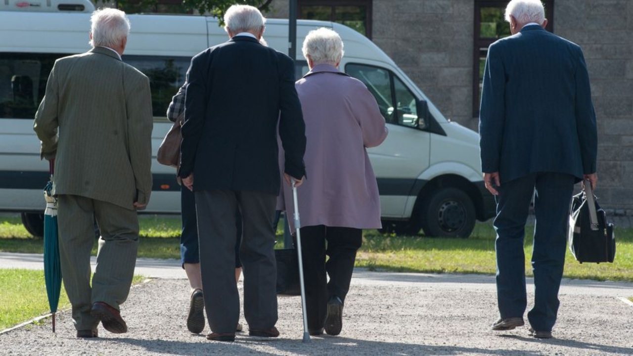 rentenreform kritik ökonomen