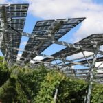 solarenergie-weinberge-klimawandel-schutz