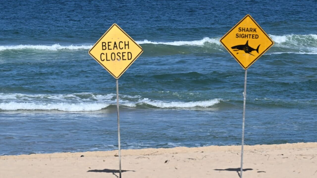 hai-angriff-australien-frau