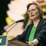 gruenen härterer israel-kurs