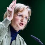 Grüne kämpferisch Parteitag Hannover