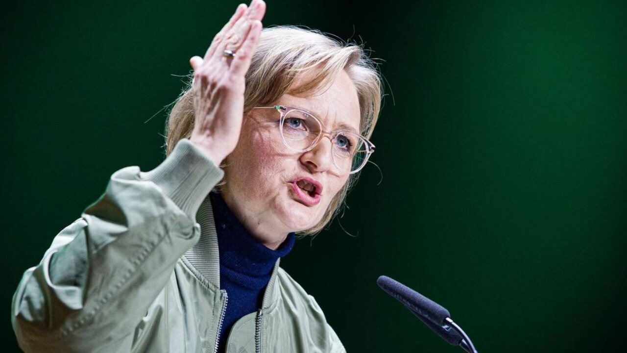 Grüne kämpferisch Parteitag Hannover