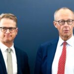 brandmauer afd demokratie