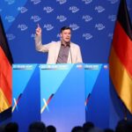 afd-schmidt-mandatsmissbrauch