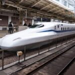 schwan-stoppt-shinkansen﻿
