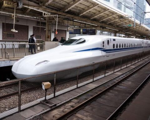 schwan-stoppt-shinkansen﻿