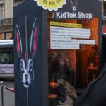 frankreich tiktok regulierung