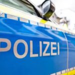 verfolgungsjagd-weihnachtsbaumfeld