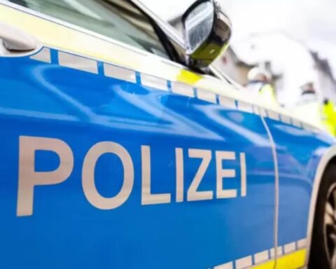 verfolgungsjagd-weihnachtsbaumfeld