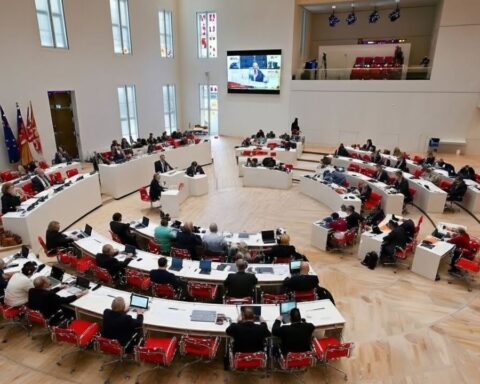 afd-brandenburg-umfrage