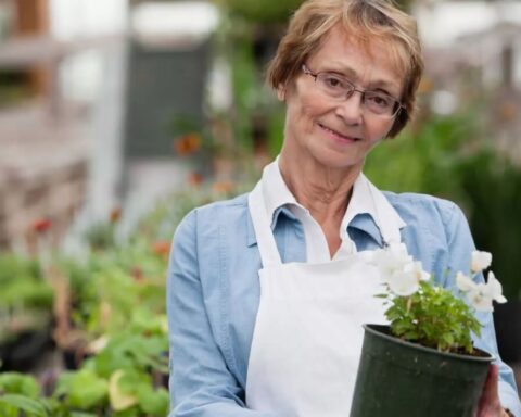 aktivrente-2025-vorteile