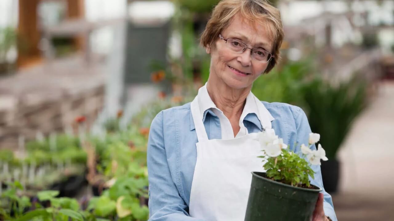 aktivrente-2025-vorteile