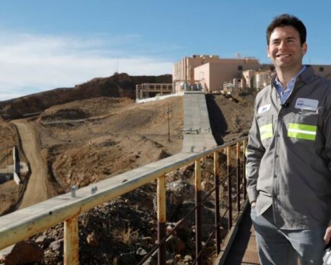 Litinsky Seltene Erden