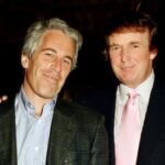 trump epstein flüge