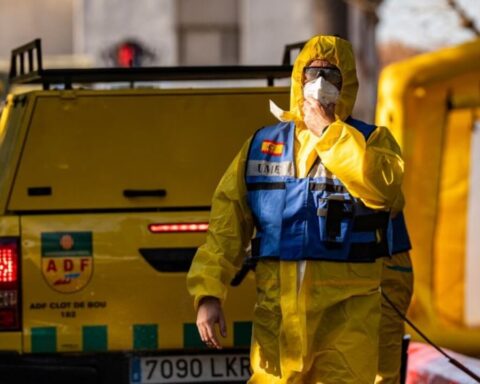 spanien-schweinepest-exportstopp﻿