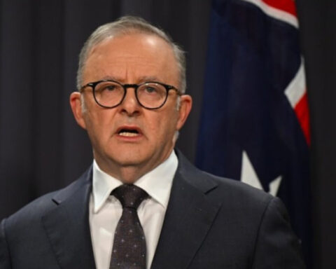 albanese-israel-kritik
