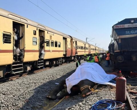 Elefanten-Zug-Unfall-Assam