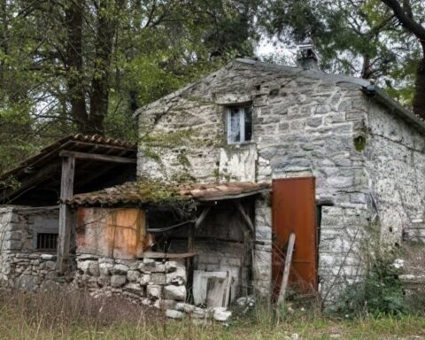 waldfamilie-italien-weihnachten ​