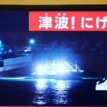 tsunami-erdbeben-japan-kueste