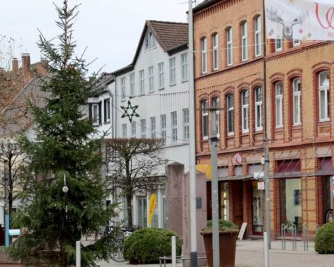 tanne spendenaktion holzminden