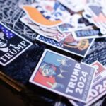 AfD USA Steuerkosten