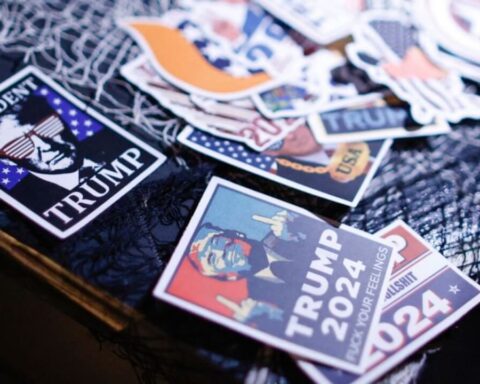 AfD USA Steuerkosten