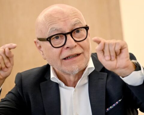 Di-Fabio-AfD-Verbot ​