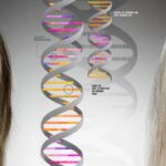 Ist-Langlebigkeit-Erblich-Gene