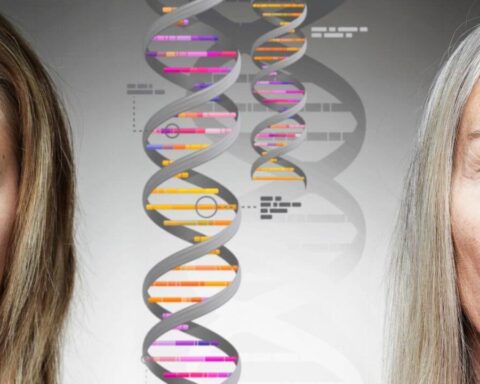 Ist-Langlebigkeit-Erblich-Gene