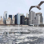 bombenzyklon-new-york-sturm