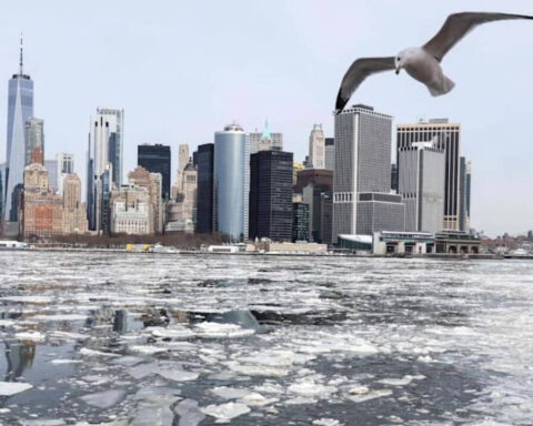 bombenzyklon-new-york-sturm