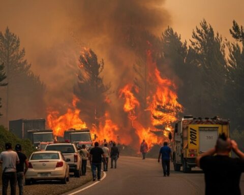 patagonien-waldbrände-brandstiftung-argentinien