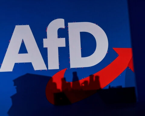 AfD Regierungsbeteiligung Arbeitsgruppe Budget ​