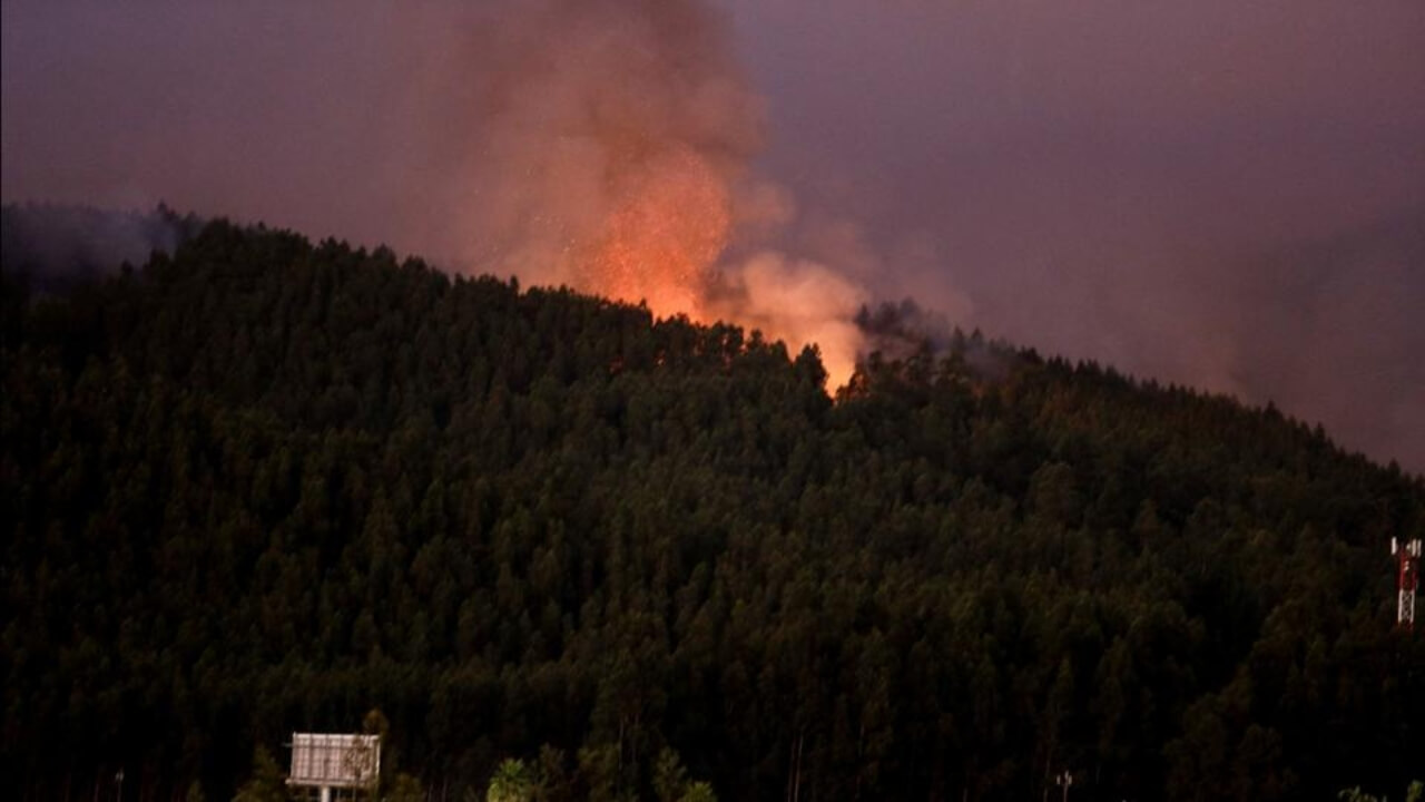 chile-waldbrände-tote-flucht