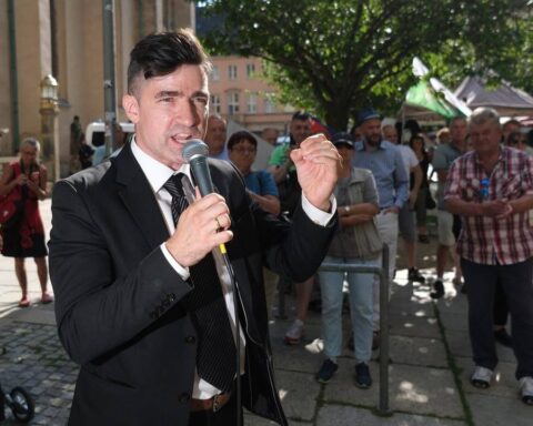 afd-sellner-streit-remigration