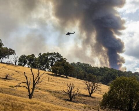 australien-feuer-zyklon