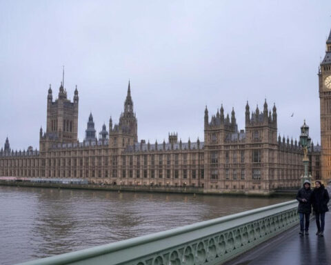 politische-epstein-aufarbeitung-deutschland