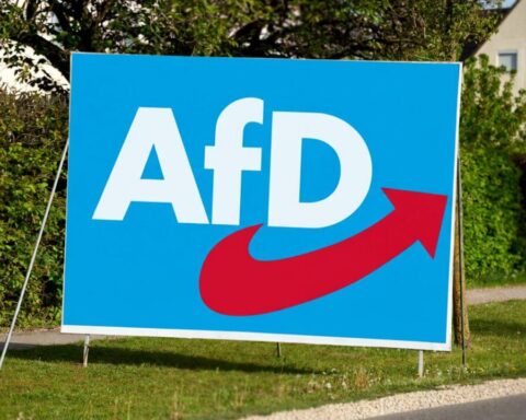 afd-umfragewerte-feb-26