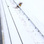 nahverkehr-streik-warnstreik-alternativen