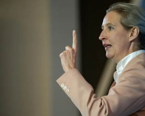 Weidel AfD Kontrolle Krise